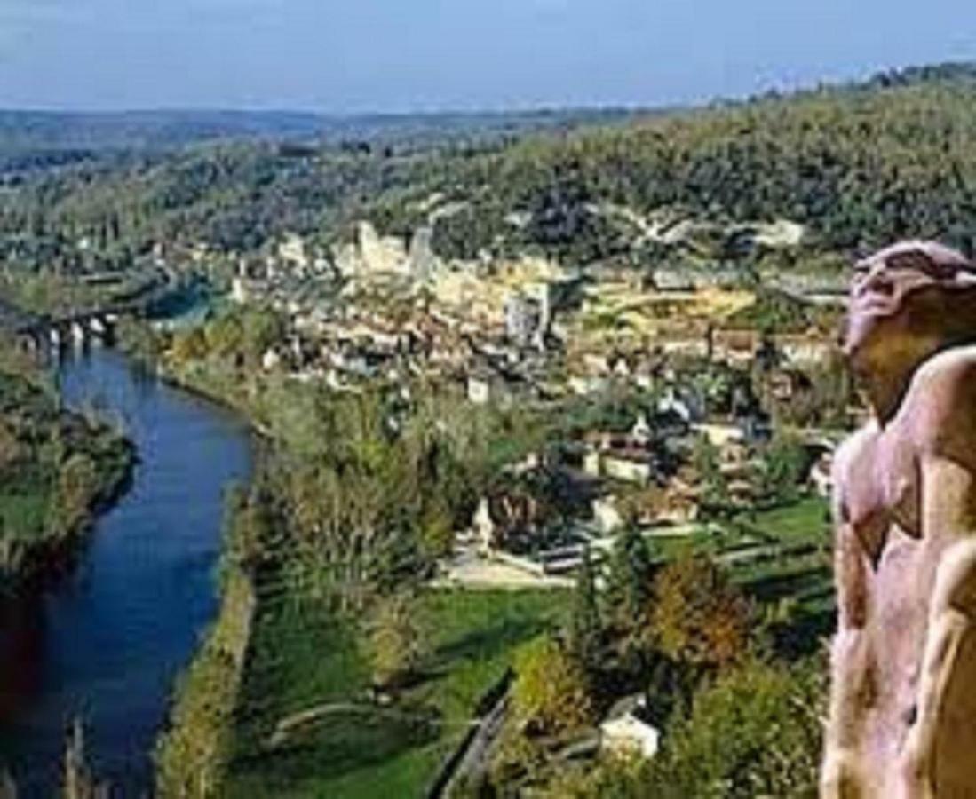 Peyzac-le-Moustier Les Pruniers De La Cipiereヴィラ エクステリア 写真
