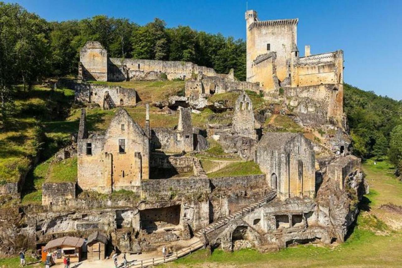 Peyzac-le-Moustier Les Pruniers De La Cipiereヴィラ エクステリア 写真