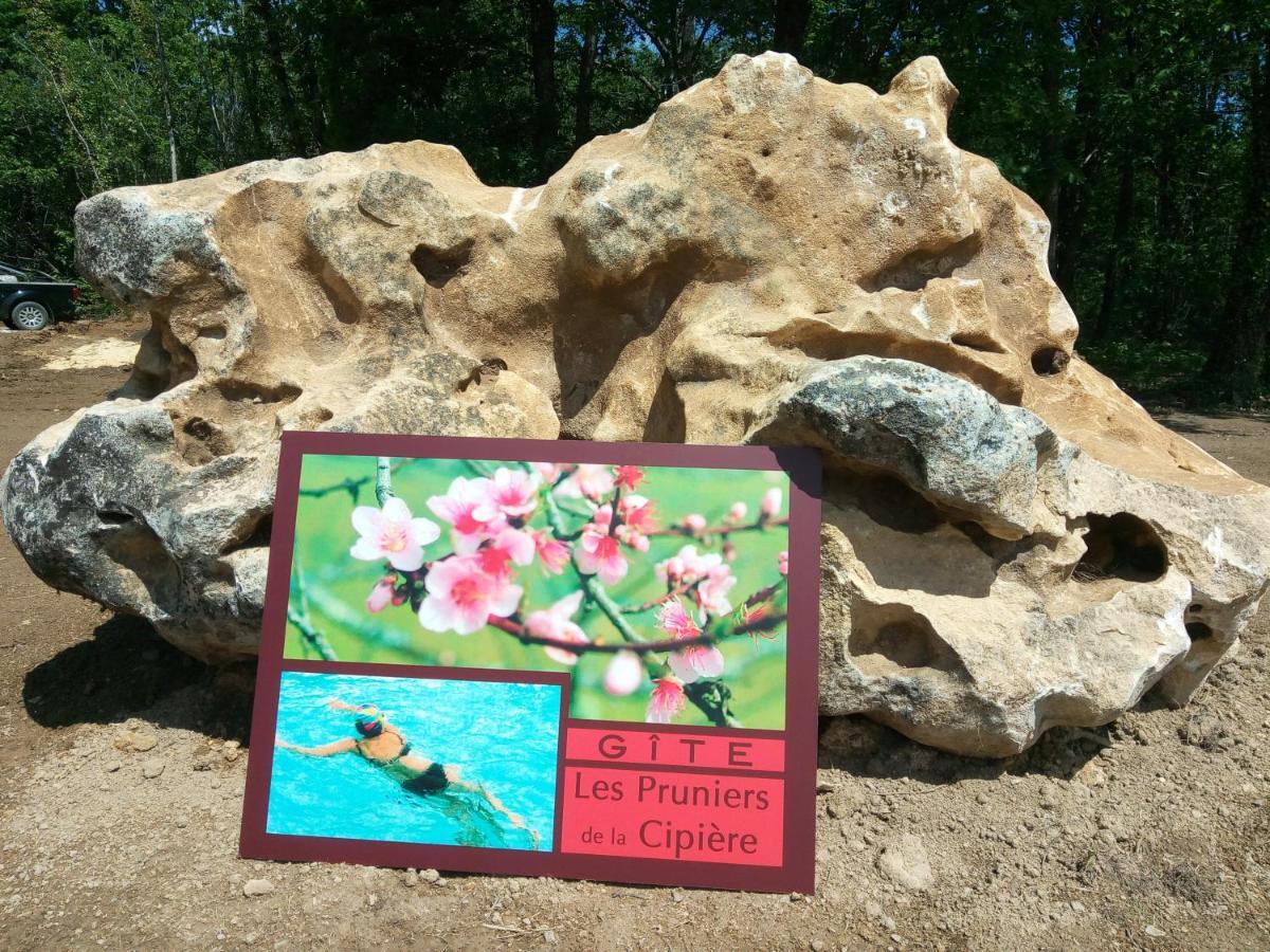 Peyzac-le-Moustier Les Pruniers De La Cipiereヴィラ エクステリア 写真